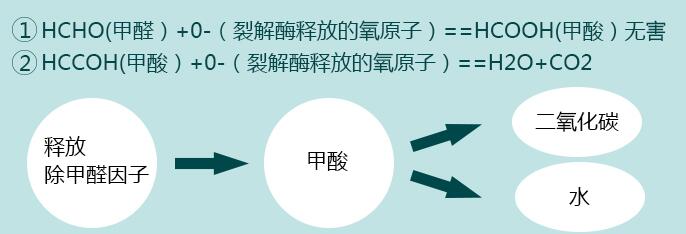 甲醛爱的&春天&