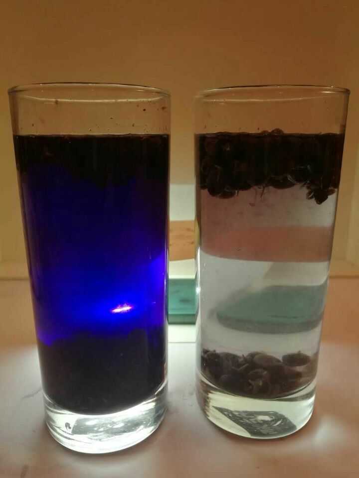 拿我们的黑枸杞和从某店买的黑枸杞连续泡水十次做的实验 第十次泡的时间很短