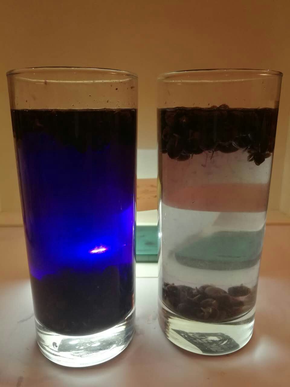 拿我们的黑枸杞和从某店买的黑枸杞连续泡水十次做的实验 第十次泡的时间很短