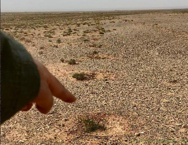 蚂蚁森林否认“没有造林”的情况：将再次核查审计